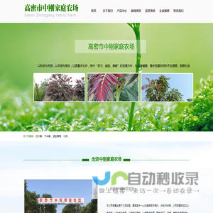 高密市中刚家庭农场