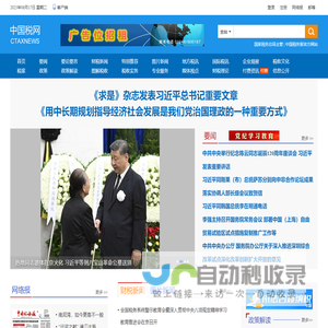中国税网