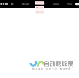 龙图网