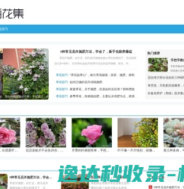 网站截图