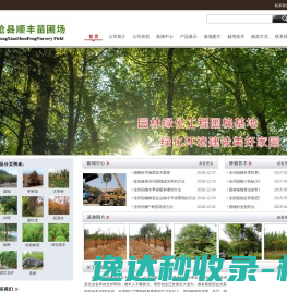 网站截图