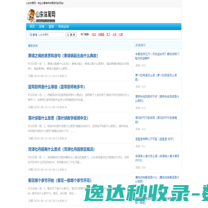 山东体育网