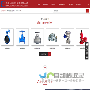 专注生产船用阀门