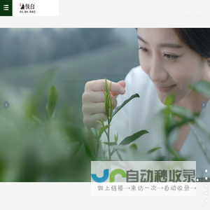 极白黄袍