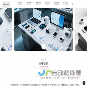 专业网站开发与