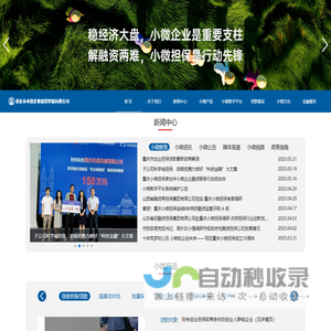 重庆小微企业融资担保公司