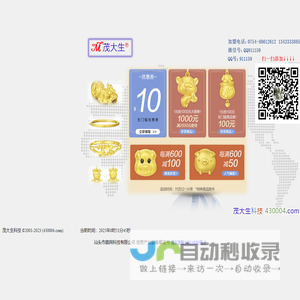 顺网科技
