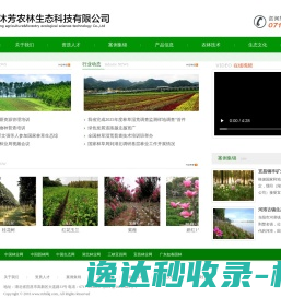 光山县千寻网络技术有限公司