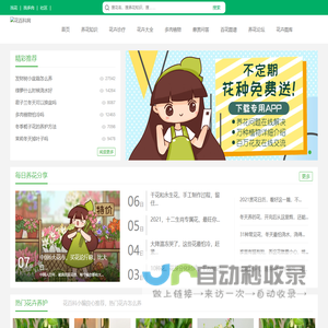 花儿网