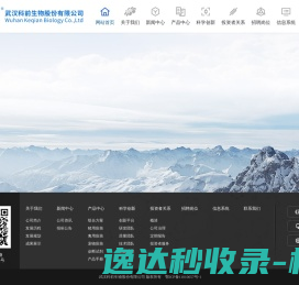 青岛恒通伟达国际物流有限公司