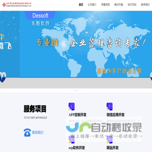 沧州市东昊智胜信息技术有限公司