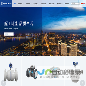 天信仪表集团有限公司