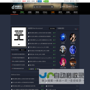 小米DJ