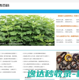 佛山市广丫丫家具有限公司