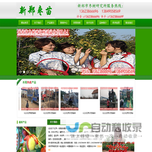 冬枣苗,蟠枣苗,,蟠枣2代,芒果枣,大枣王,葫芦枣,苶壶枣,磨盘枣,龙须枣树,冬枣2代,大枣树,枣树苗,冬枣3代,枣树嫁接苗,新郑市枣树研究所专业生产