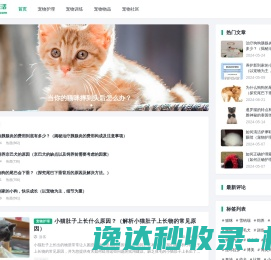 爱宠生活