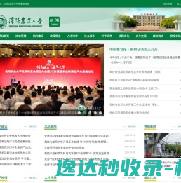 新闻网