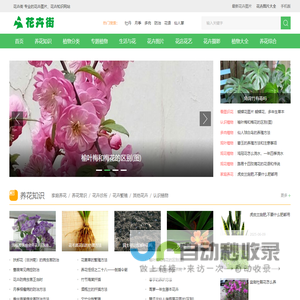 花卉街