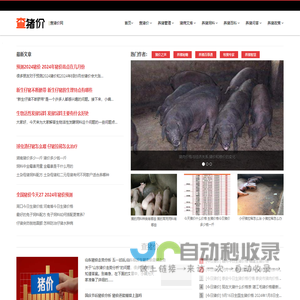 查猪价网