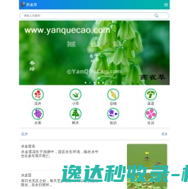 植物百科