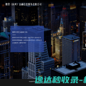 微贷（杭州）金融信息服务有限公司