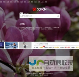 cc0图片网（cc0.cn）