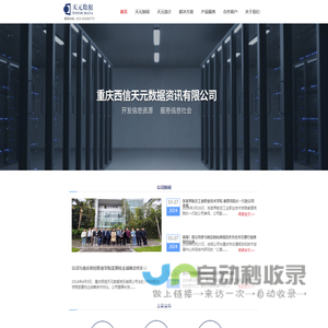 重庆西信天元数据资讯有限公司