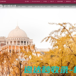 [网商天下]徐州SEO