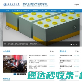 纳米生物医学研究中心