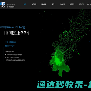 环氧AB胶网