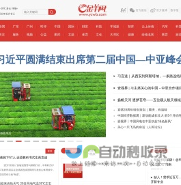 金羊网
