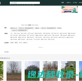 找树网
