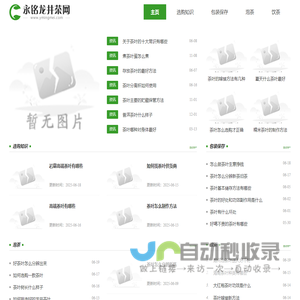 永铭龙井茶网