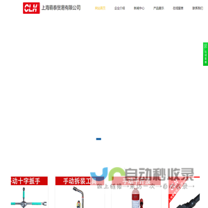 上海霸泰贸易有限公司