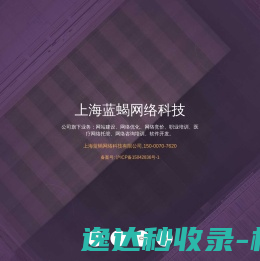 上海蓝蝎网络科技有限公司