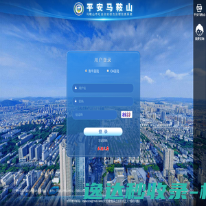 马鞍山市社会治安综合治理信息系统
