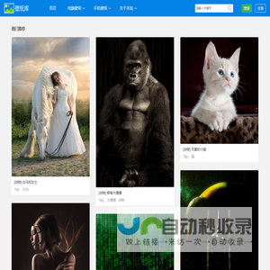 杭州金鱼电器集团有限公司