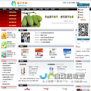 河北魅力网络
