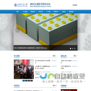 纳米生物医学研究中心