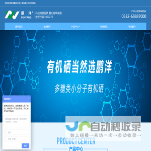 鹏洋首页