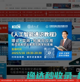 中电网