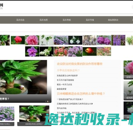 白云鲜花网