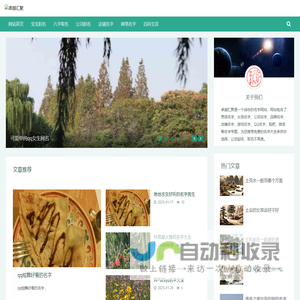 好听的名字