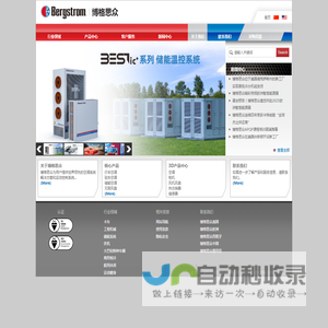 博格思众