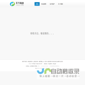 天下网游