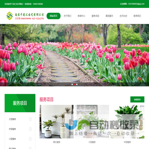 网红南京绿植租赁
