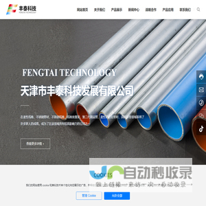天津市丰泰科技发展有限公司