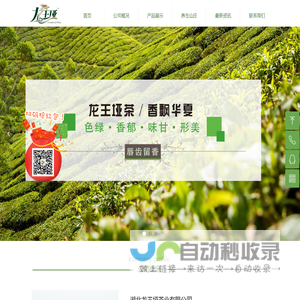 湖北龙王垭茶业