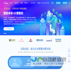 云简业财