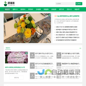 绿植迷